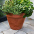 Father's Day Personalised Plant Pot